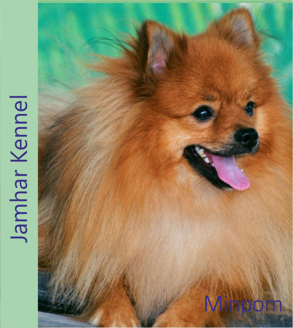 Minpom