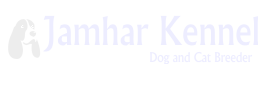 footer-logo